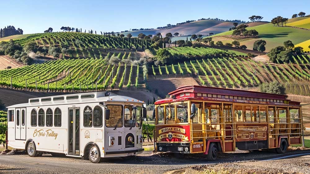 2 TROLLIES IN A VINEYARD